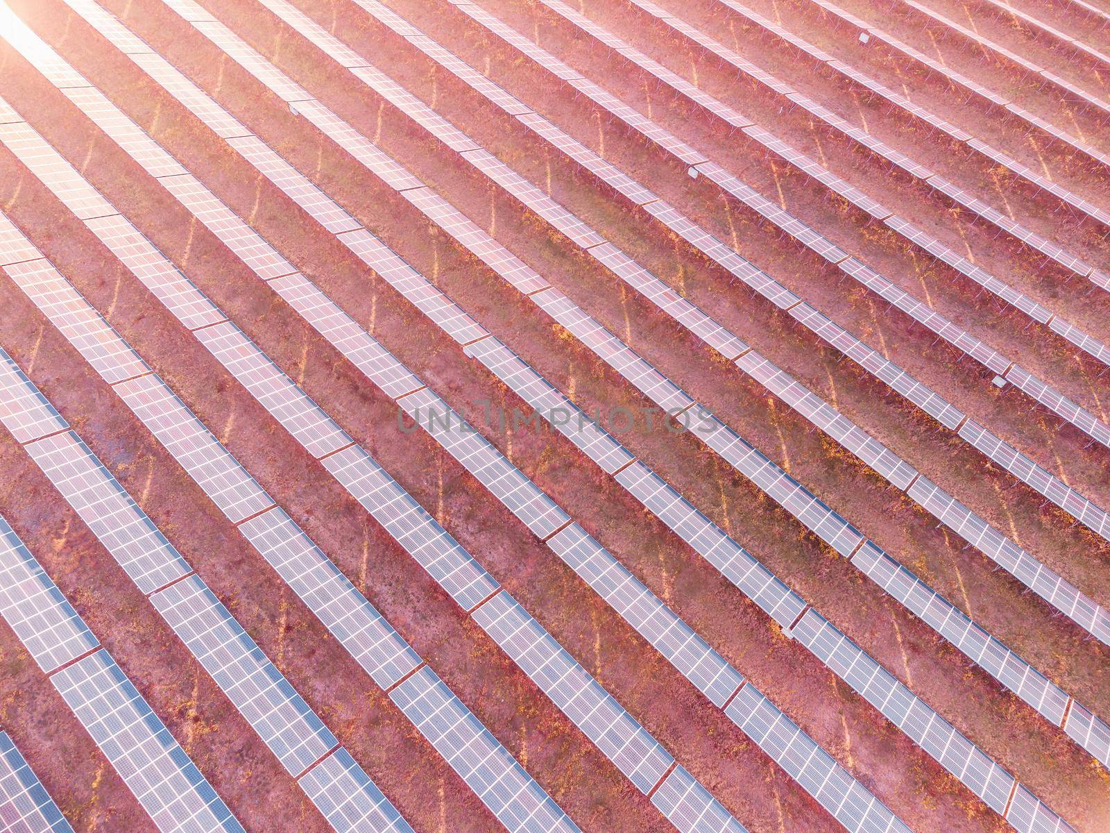 Aerial top view of a solar panels power plant. Photovoltaic solar panels at sunrise and sunset in countryside from above. Modern technology, climate care, earth saving, renewable energy concept