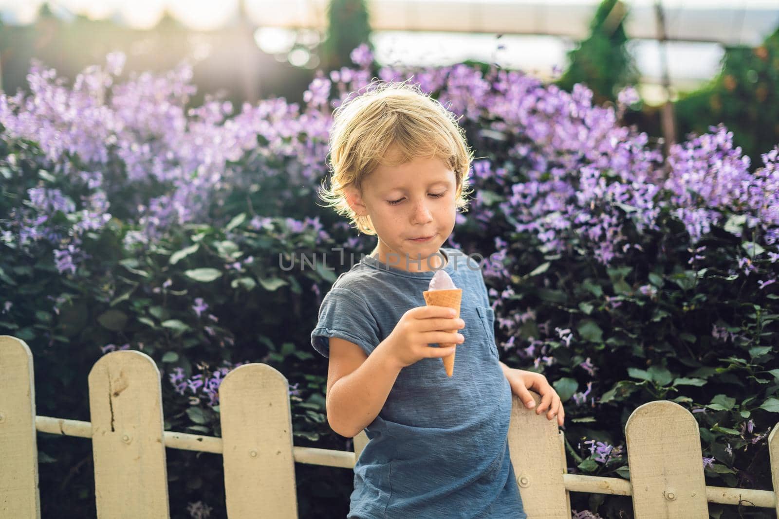 The boy eats lavender ice cream on the background of a lavender field.