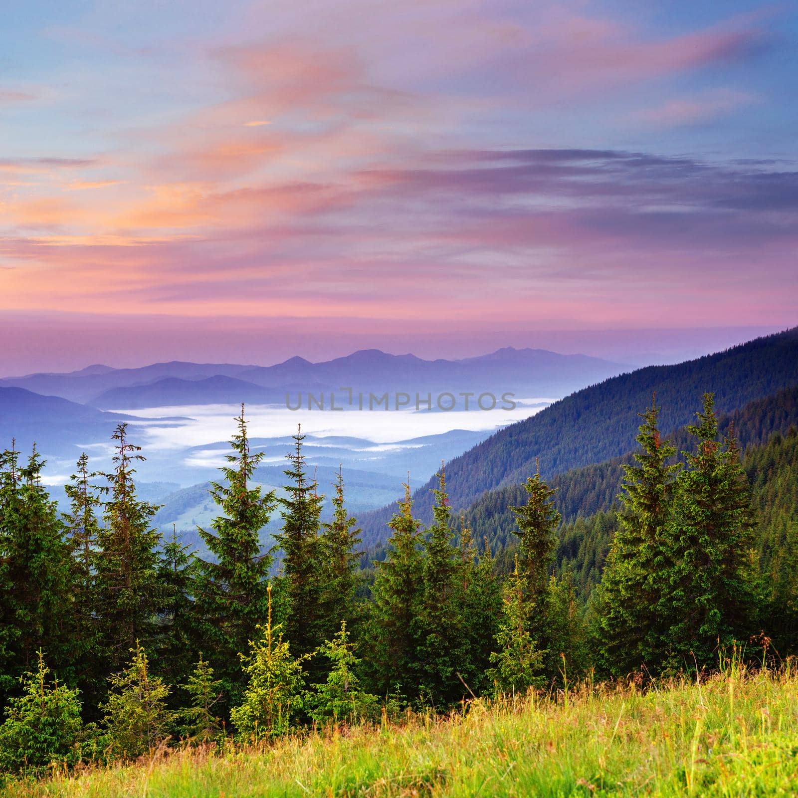 Beautiful summer mountain landscape. Blue color of mountains during sunset. Dramatic scene. Carpathian, Ukraine, Europe. Artistic picture. Soft filter effect.