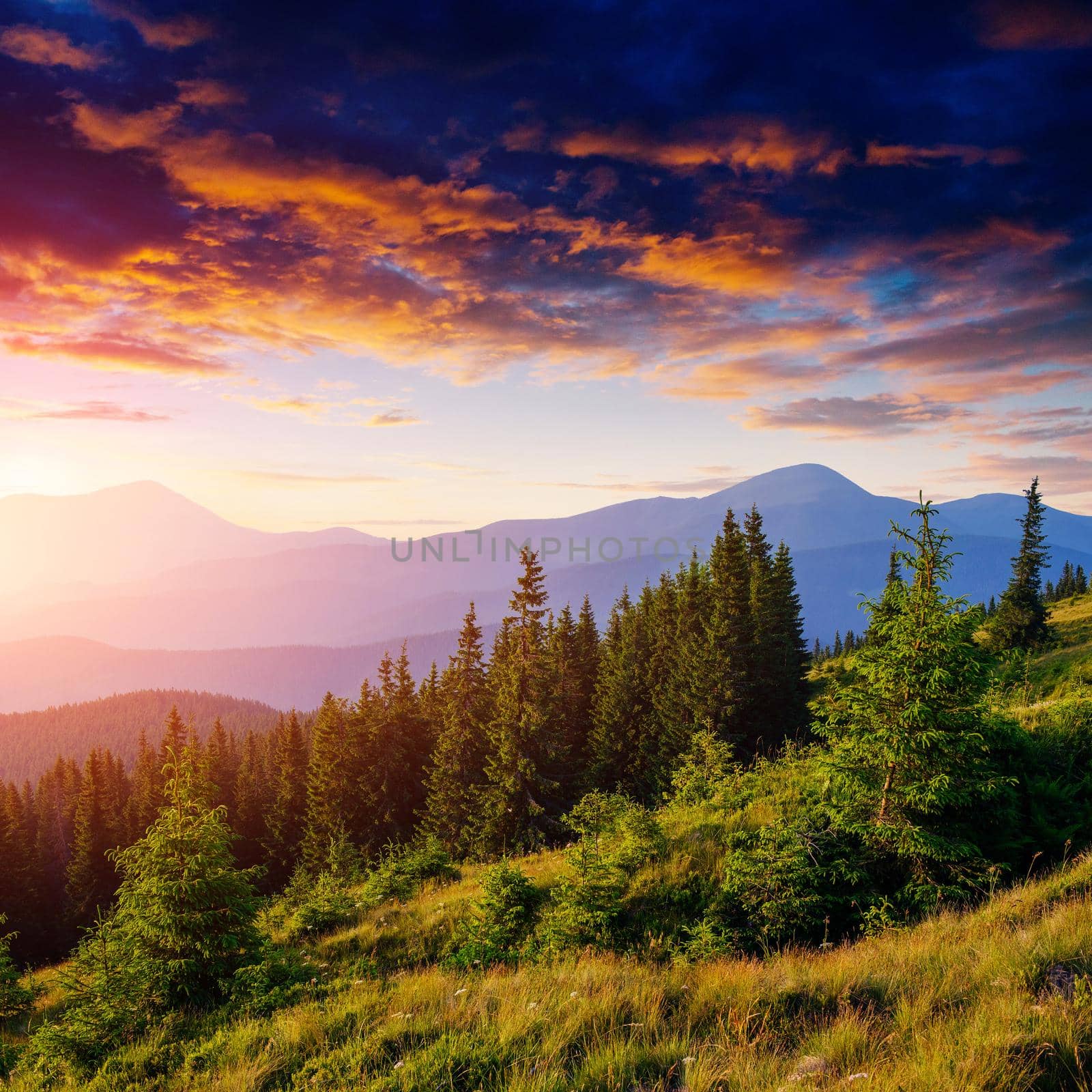 Colorful sky at sunset in the mountains. Fantastic cumulus clouds. Carpathians. Ukraine. Europe