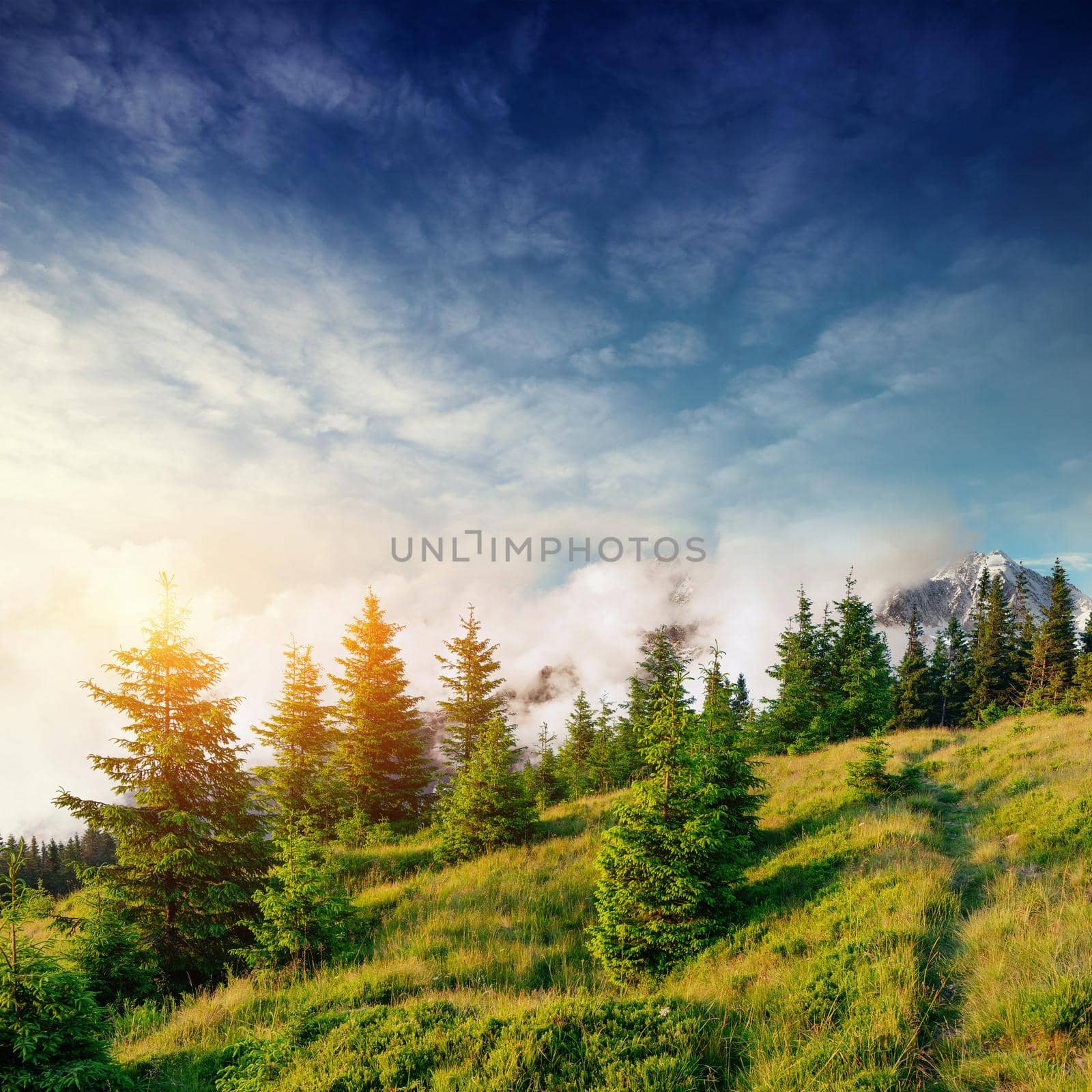 Beautiful summer mountain landscape. Blue color of mountains during sunset. Dramatic scene. Carpathian, Ukraine, Europe. Artistic picture. Soft filter effect.