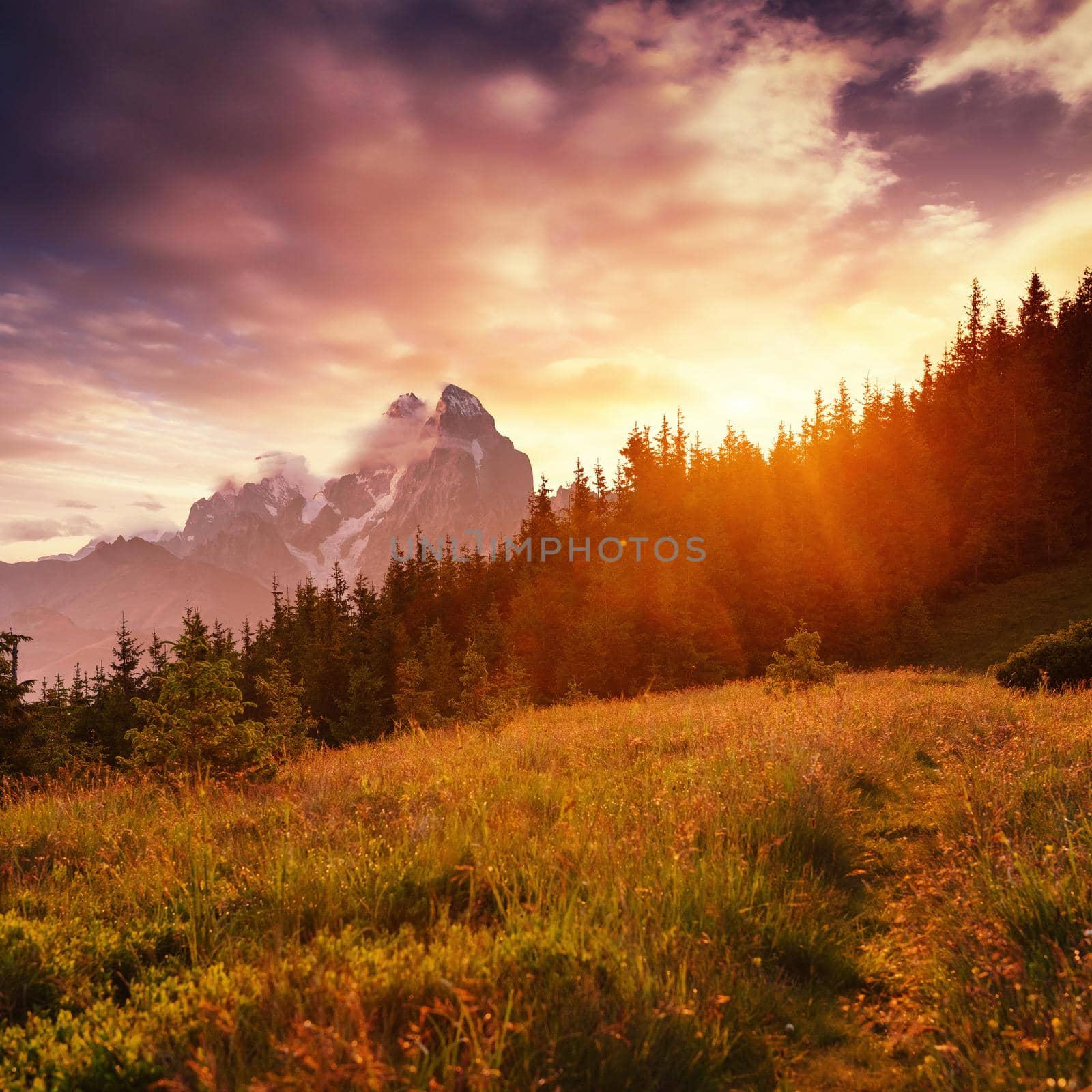 Beautiful summer mountain landscape. Blue color of mountains during sunset. Dramatic scene. Carpathian, Ukraine, Europe. Artistic picture. Soft filter effect.