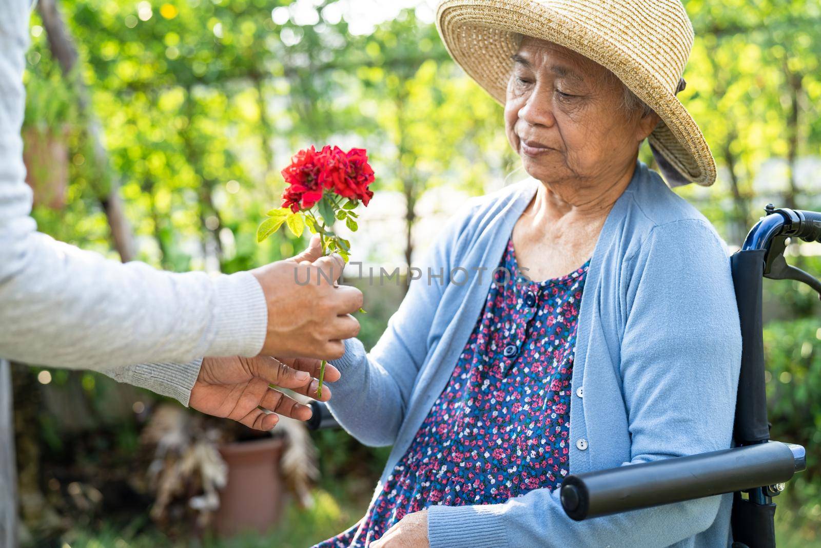 Caregiver daughter hug and help Asian senior or elderly old lady woman holding red rose on wheelchair in park.