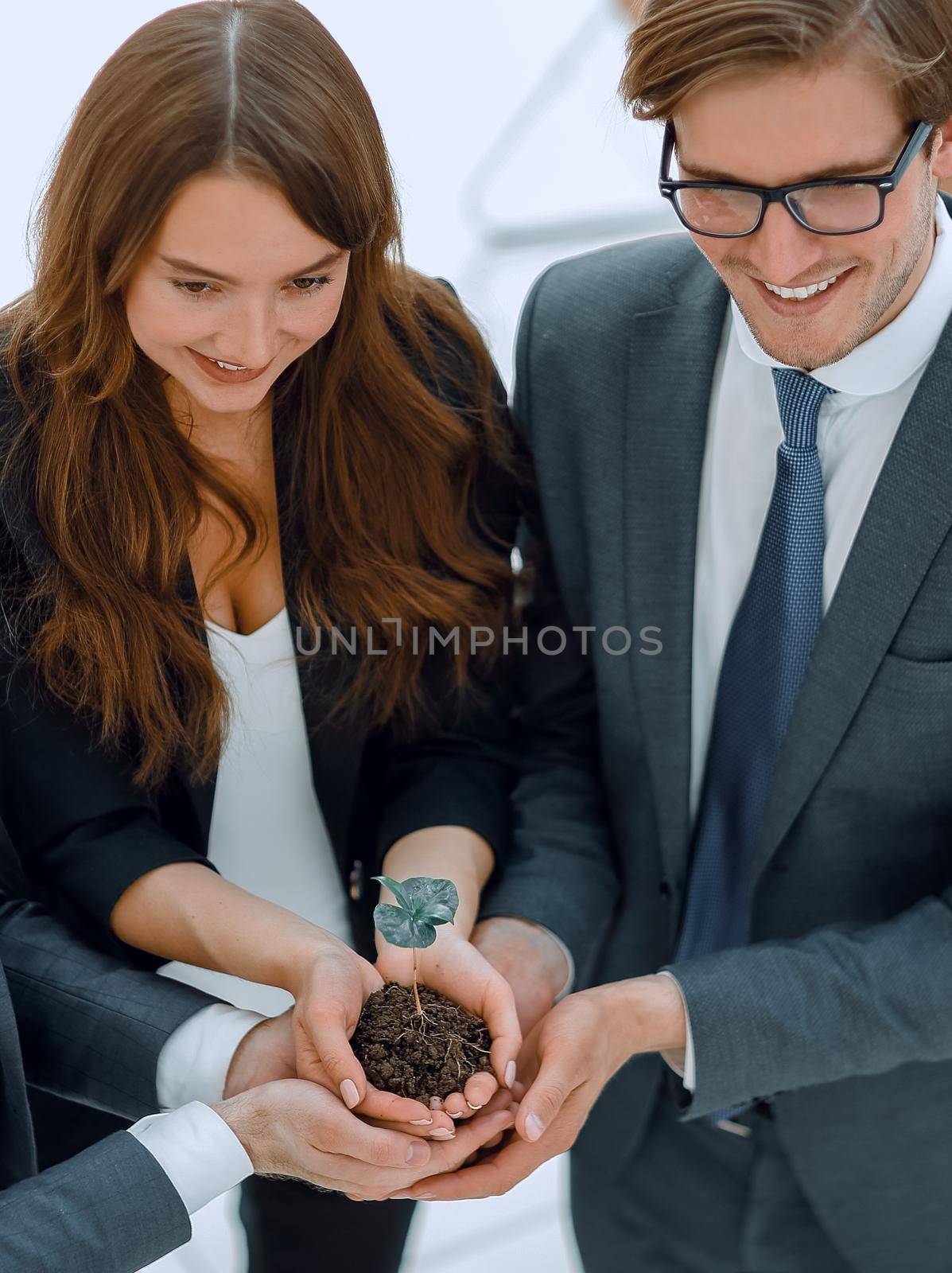 business team protecting hands, small sprout.eco-business concept