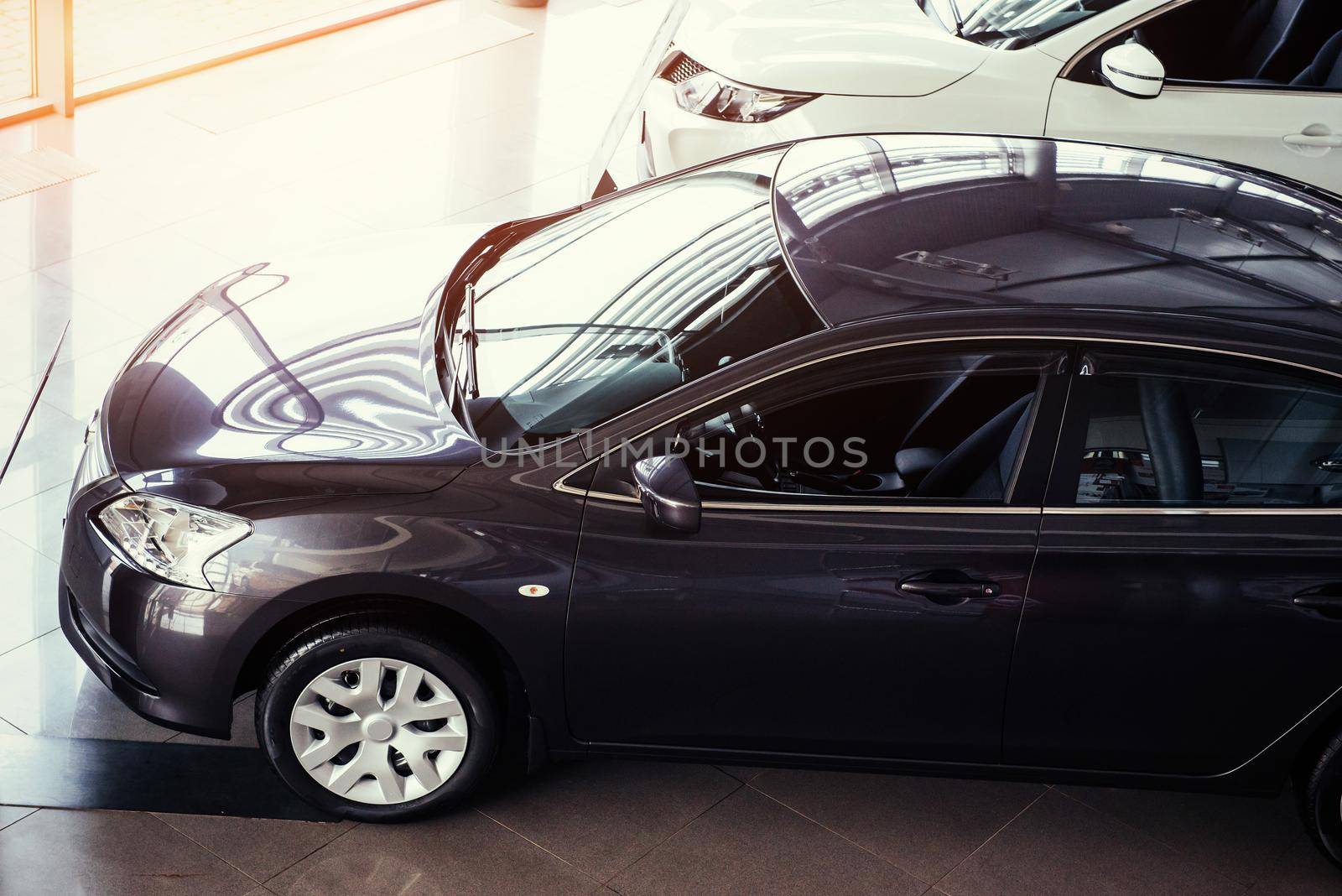 of the car in the spacious showroom with large windows.