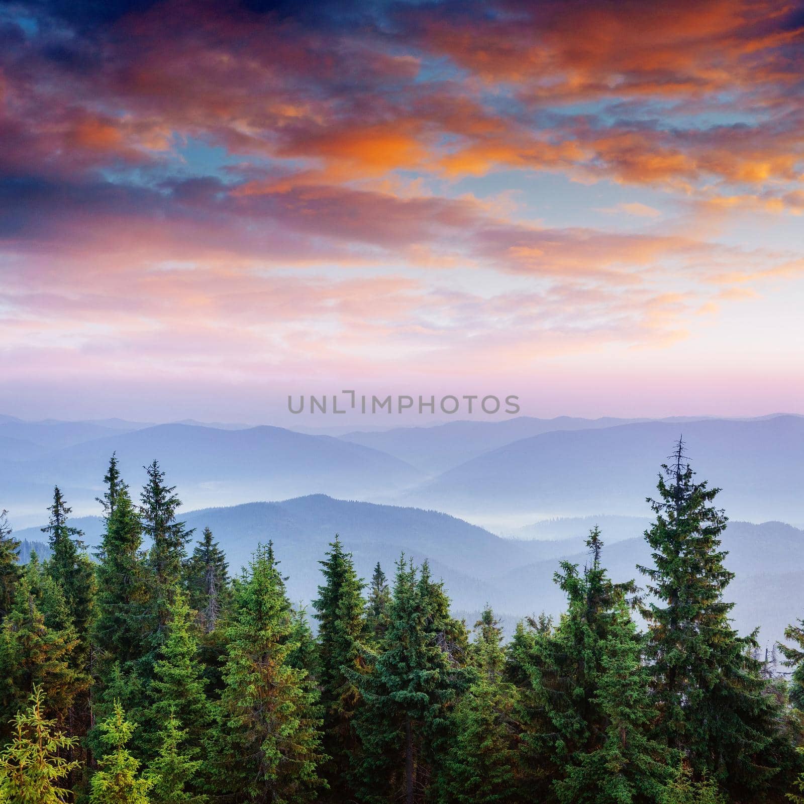 Colorful sky at sunset in the mountains. Fantastic cumulus clouds. Carpathians. Ukraine. Europe