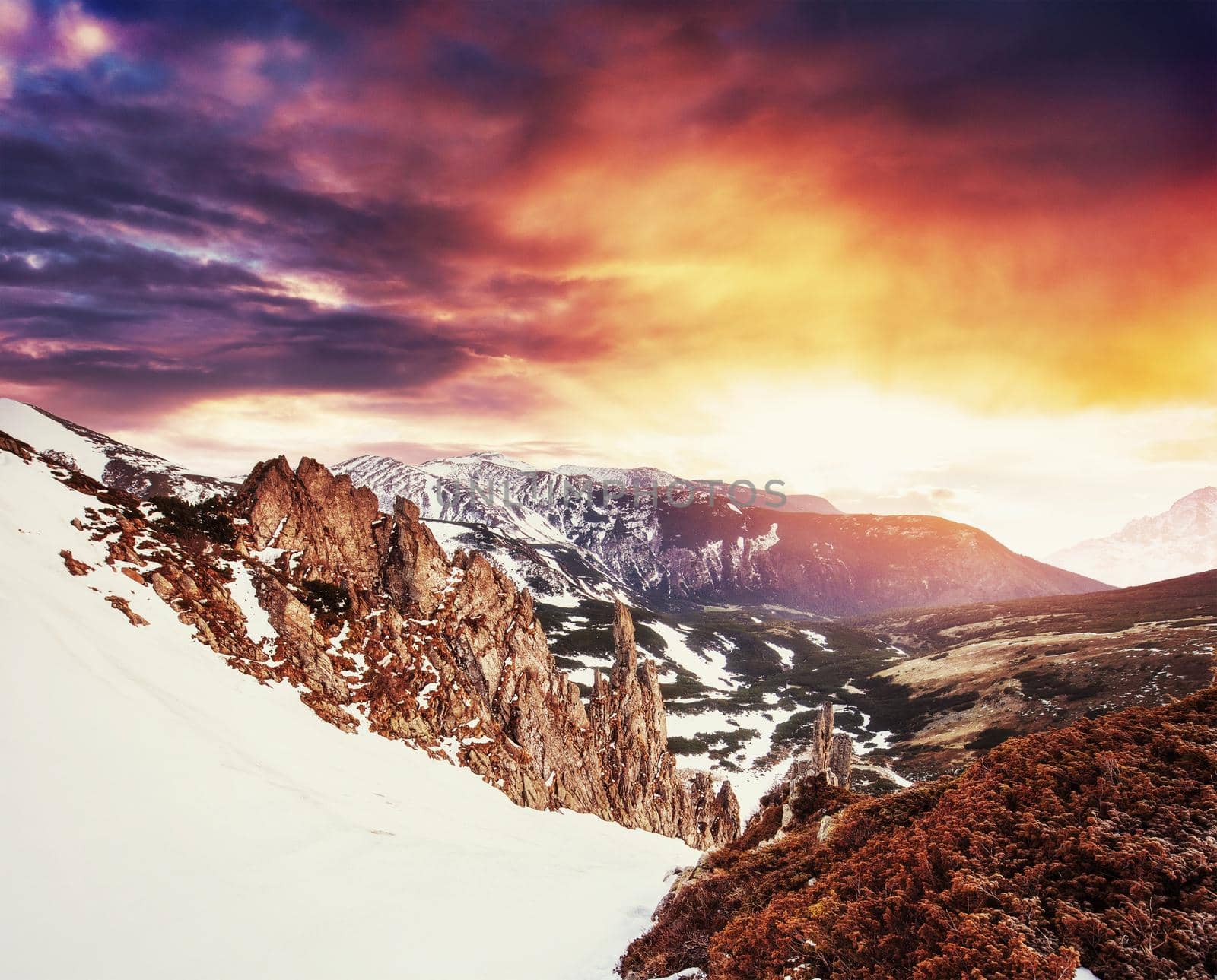 magical winter snow covered tree. Sunset in the Carpathians. Ukraine, Europe