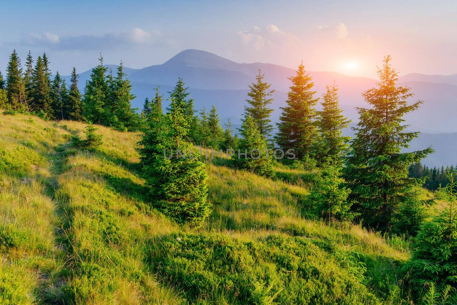 FantaFantastic foggy day and bright hills by sunlight. Dramatic morning scenery. Carpathian, Ukraine, Europe. Dramatic morning scenery. Carpathian, Ukraine Europe