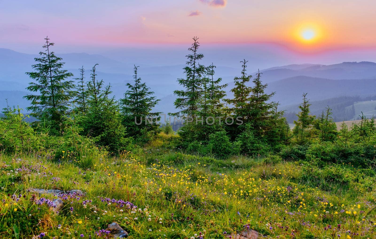 Fantastic foggy day and bright hills by sunlight. Dramatic morning scenery. Carpathian, Ukraine, Europe.