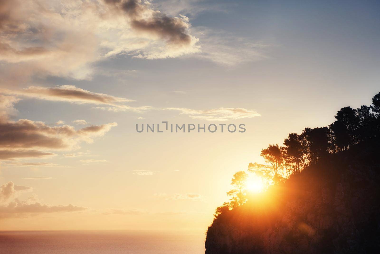 Tree shadow with sunset. Beauty world. Sicily Italy Europe