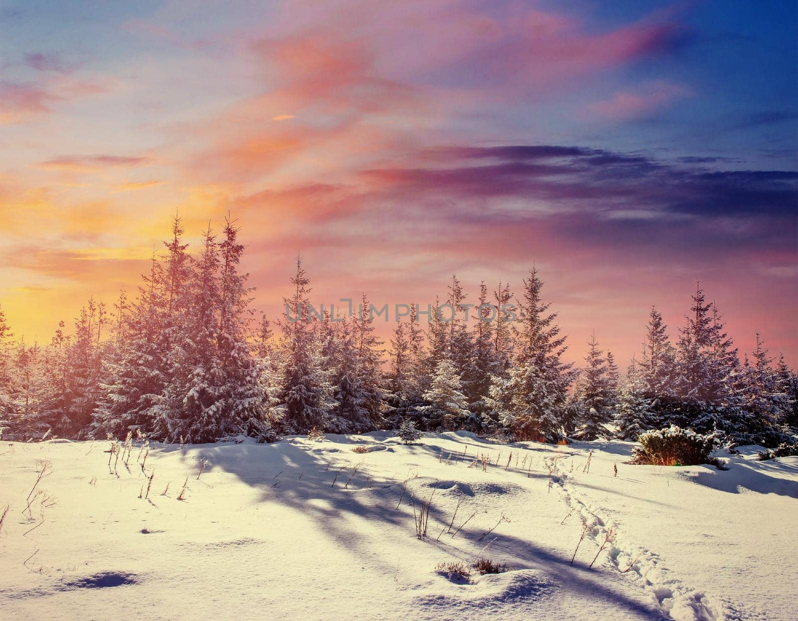 Fantastic winter landscape and worn trail leading into the mountains. Sunset. In anticipation of the holiday. Carpathian, Ukraine, Europe.