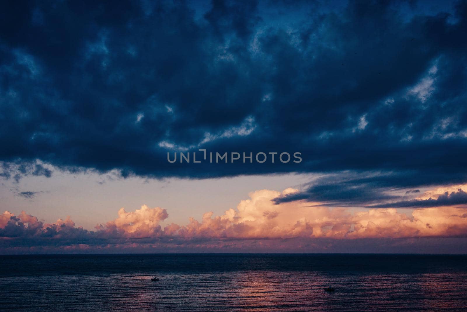 Tree shadow with sunset. Beauty world. Sicily Italy Europe