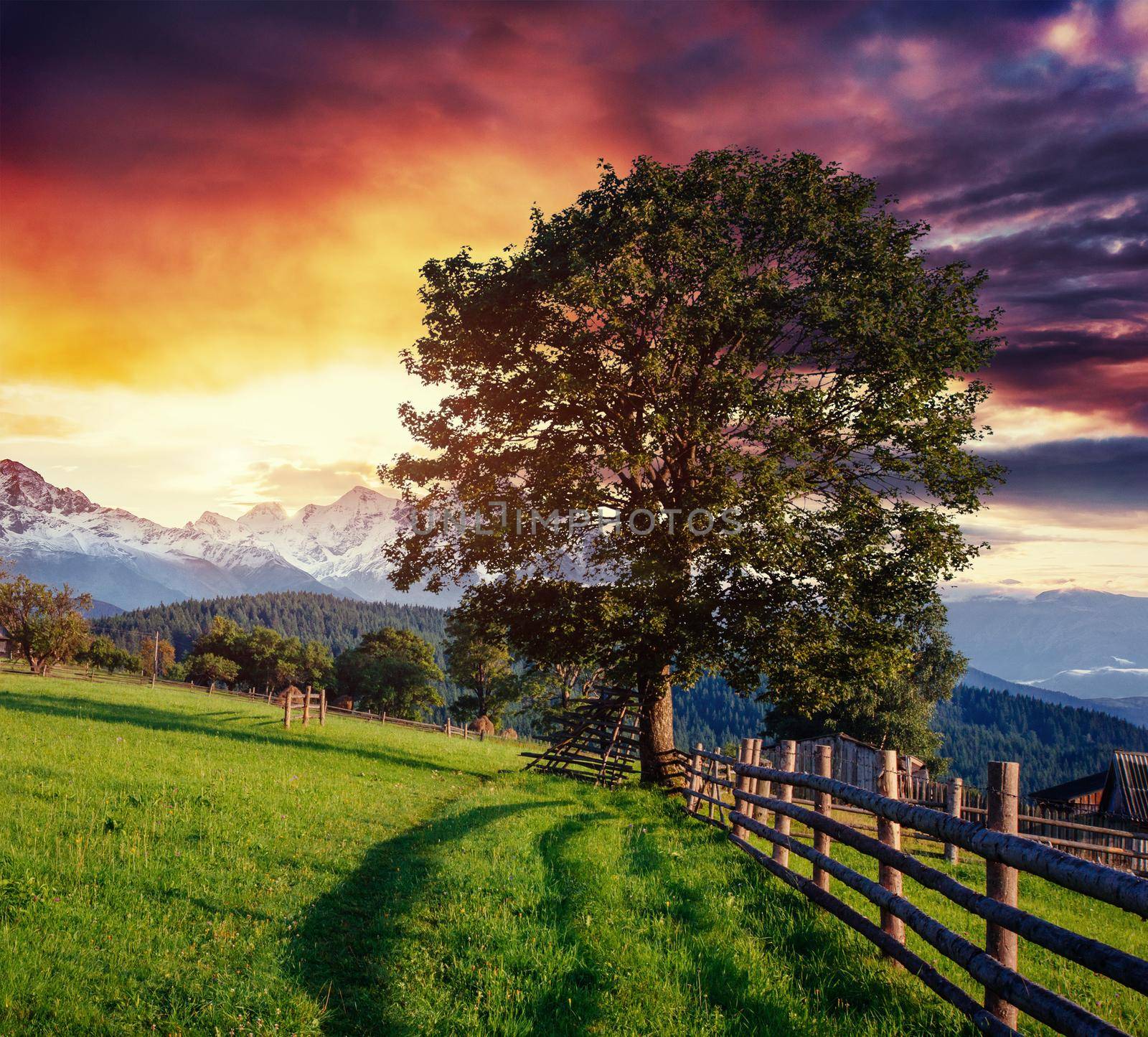 Wide Angle View of a Wooden Fence Under a Blue Sky with a Beautiful Meadow Blanketed with Wildflowers.