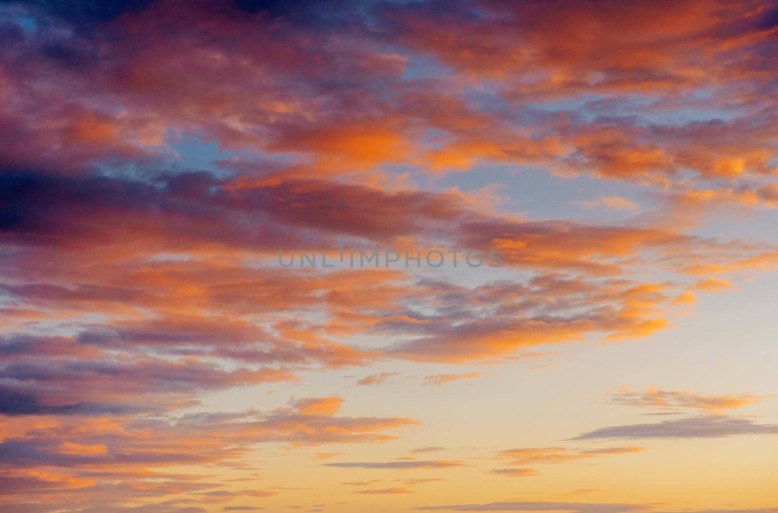 Fantastic views of the pink sky at sunset with cumulus clouds.