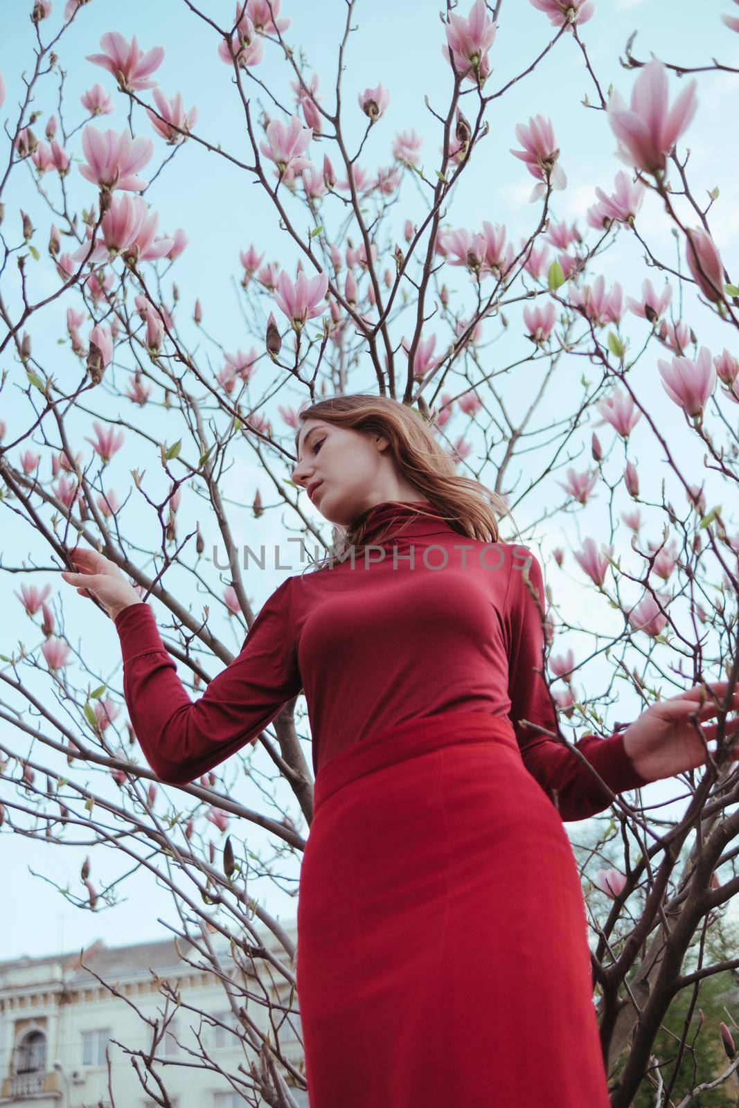 a veth-haired girl in red against the background of a magnolia tree. the concept of unity with nature by Symonenko