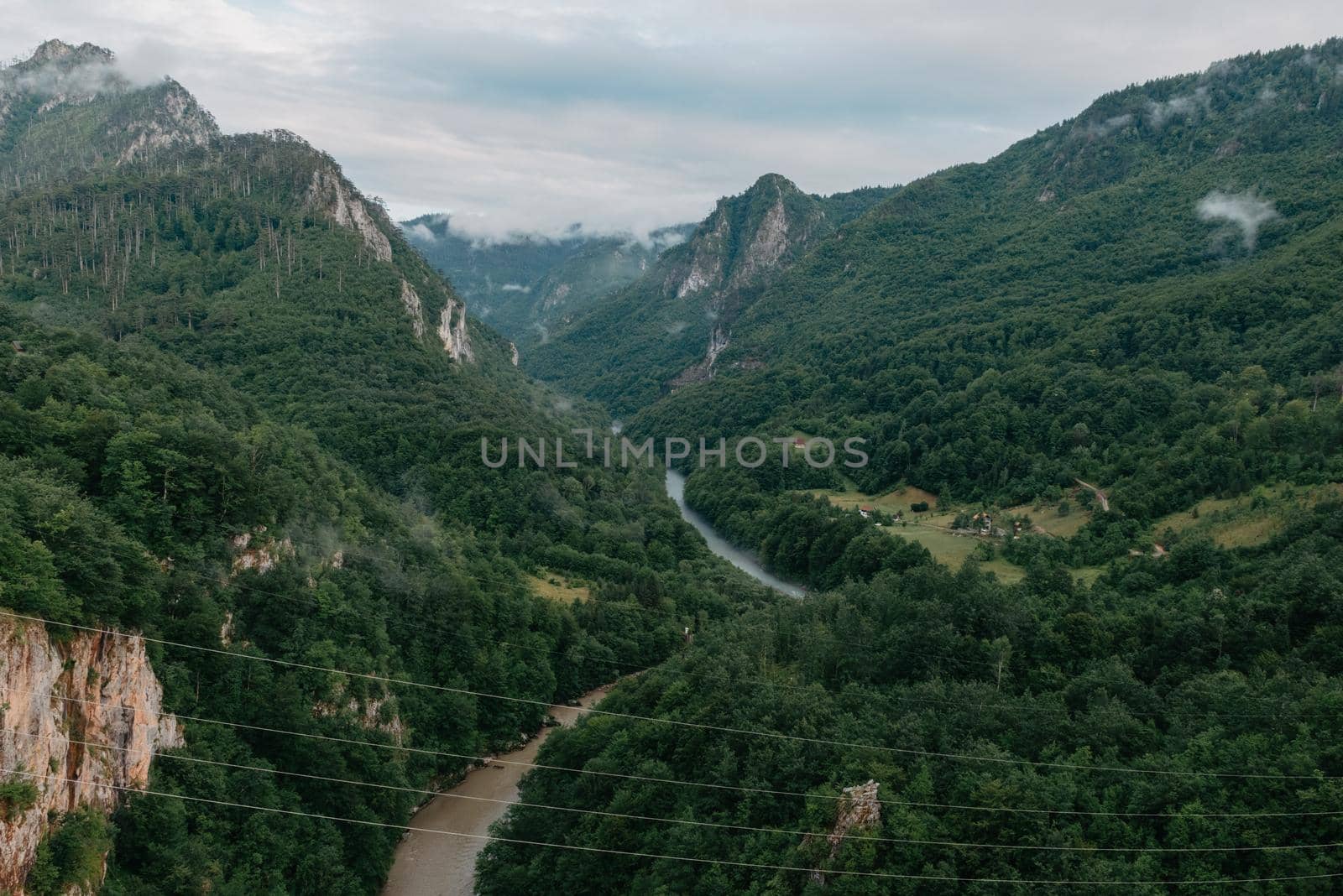 Tara River, view from the bridge, north Montenegro. Canyon of river Tara, deepest canyon in the Europe, second in the world. State of Montenegro by Andrii_Ko