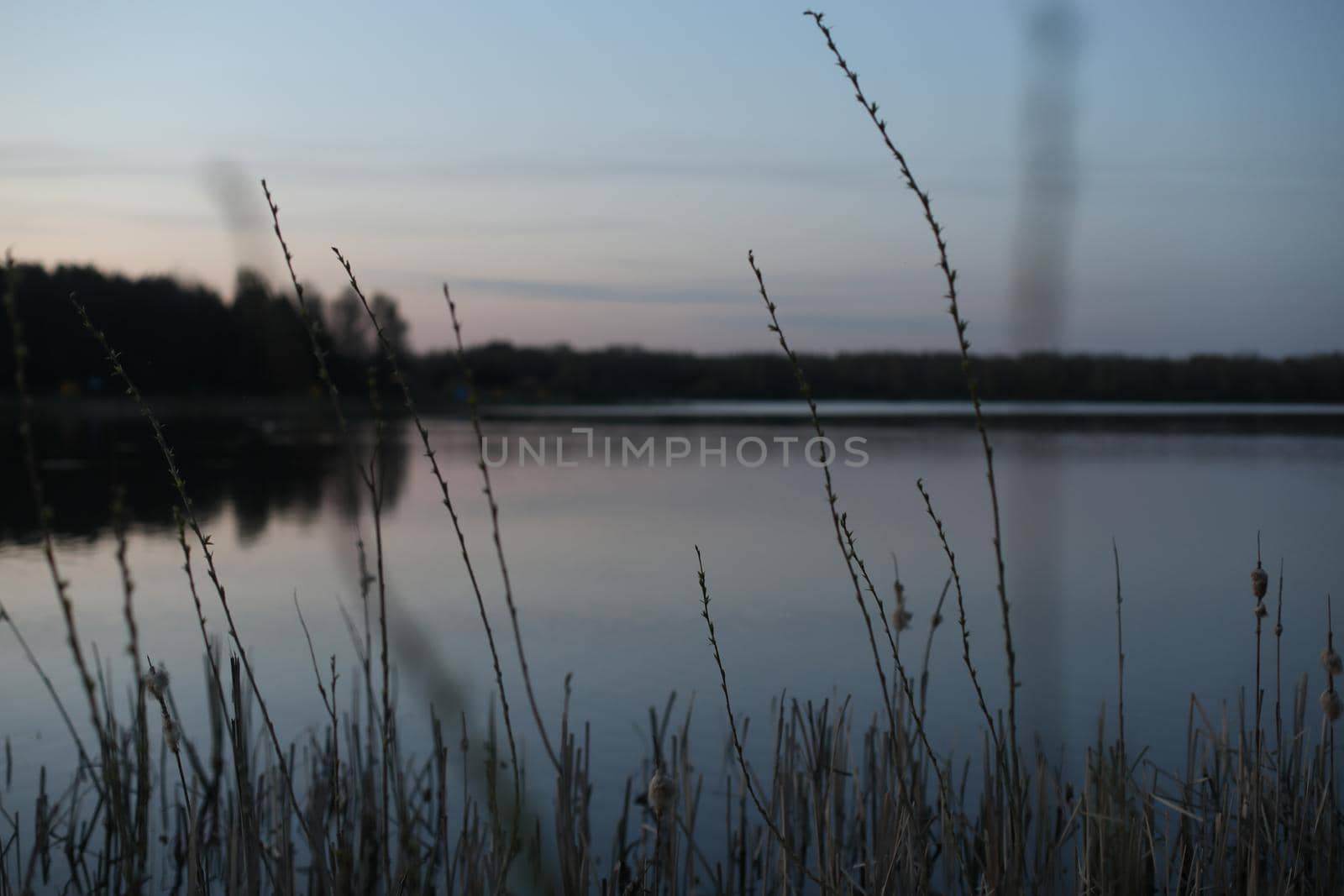 Nature landscape. Reflection, blue sky and yellow sunlight. landscape during sunset.