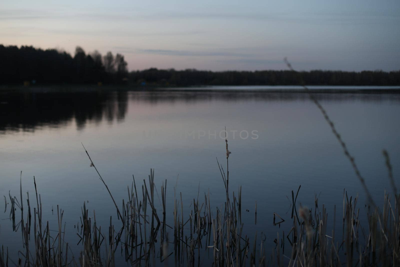 sunset at coast of the lake. Nature landscape. Reflection, blue sky and yellow sunlight. landscape during sunset.