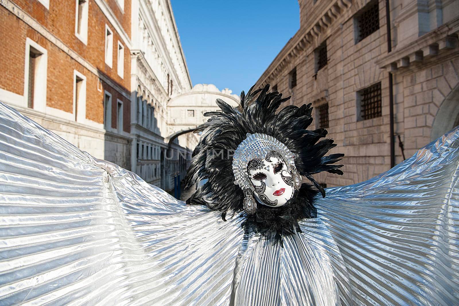 Venice carnival 2020 by Giamplume