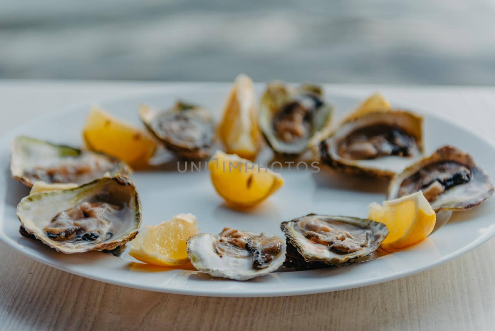 Fresh oysters with lime on a round plate. Oyster season. Macro-seafood dish. Oyster on the half shell.Two varieties of oysters.Out of focus. White plate of fresh oyster on ice and piece of lemon on wooden table