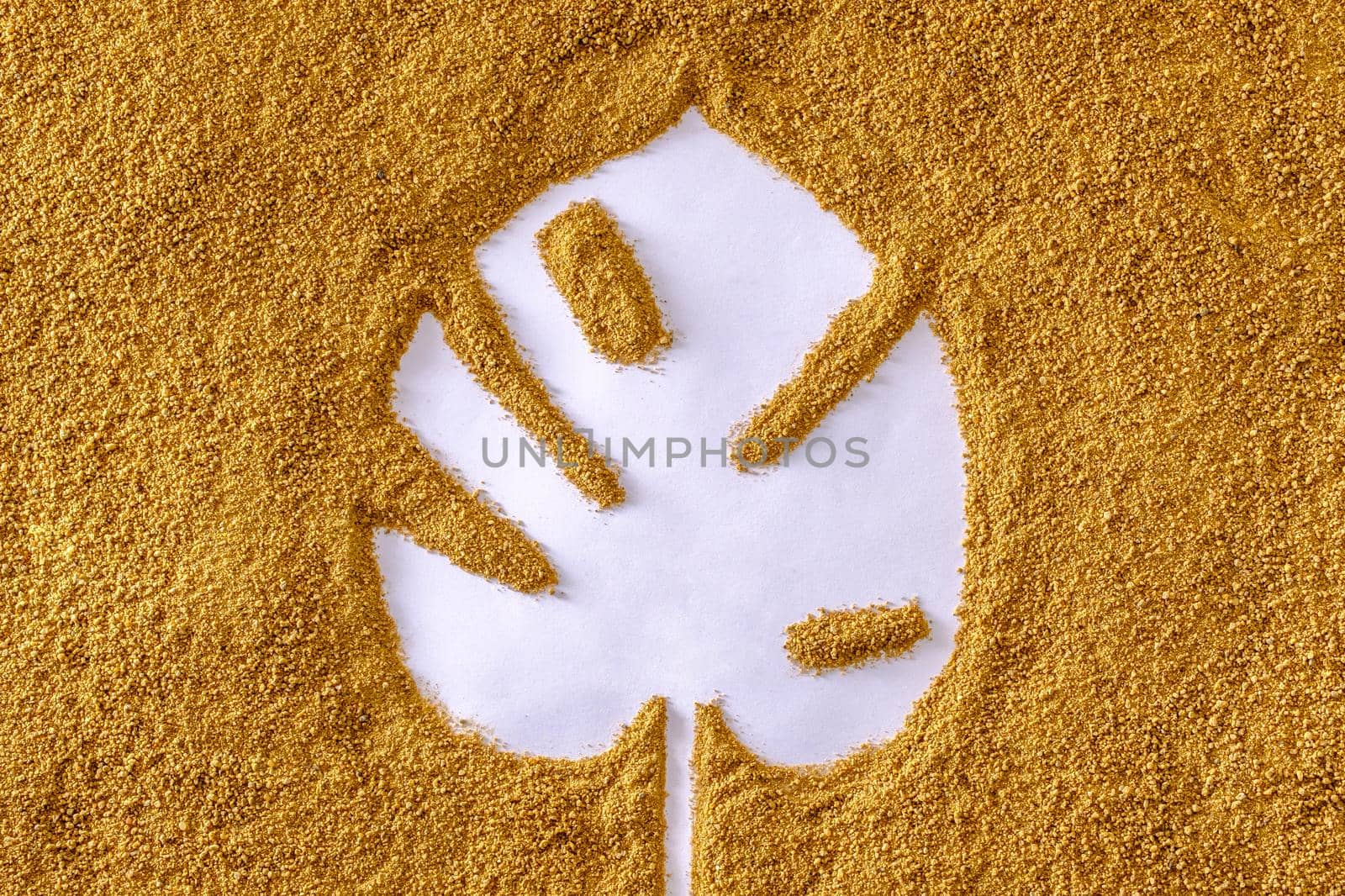 Negative space monstera leaf in the sand on the beach in summer. Texture trend tropics concept.
