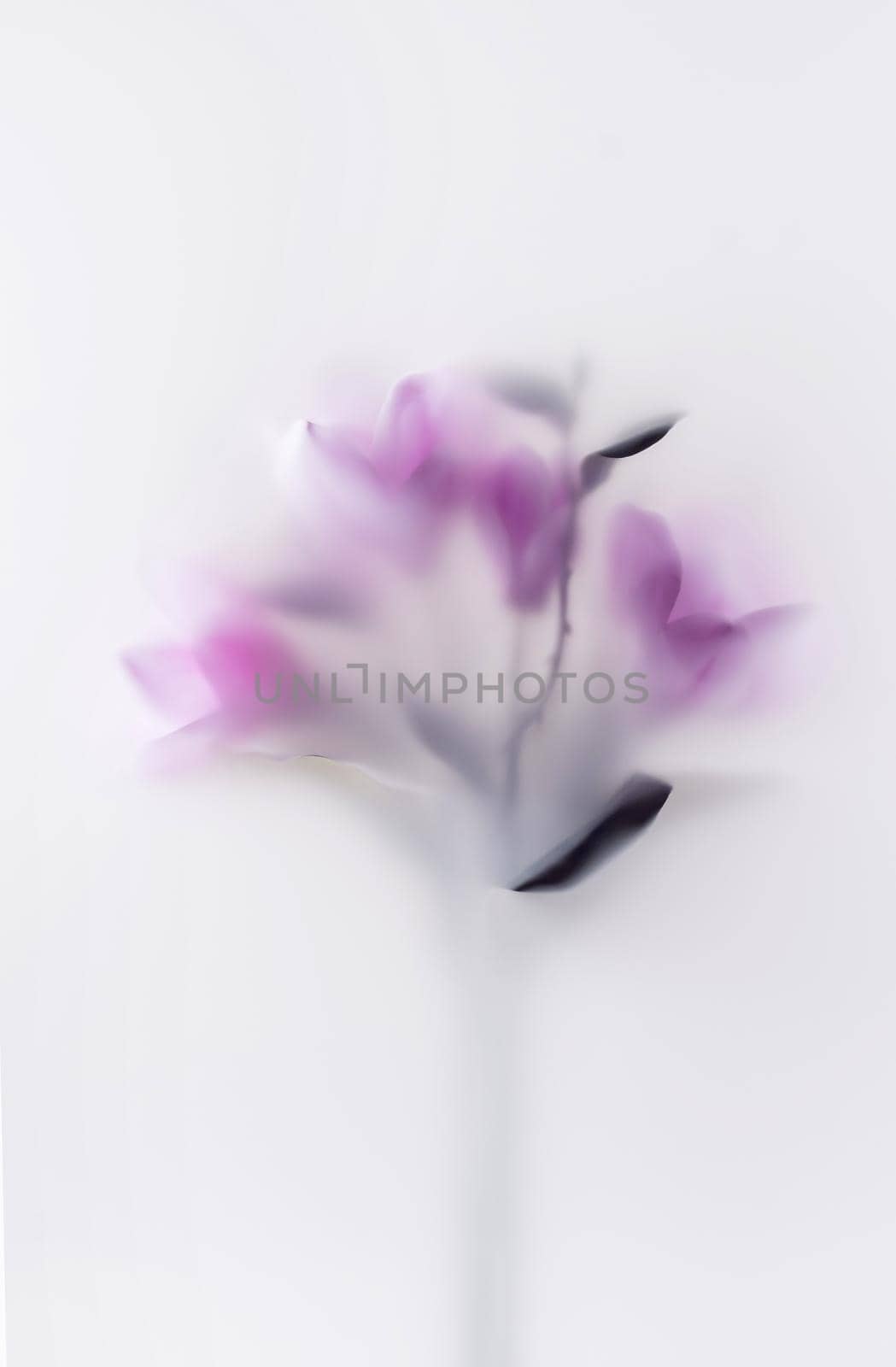 Beautiful pink pastel flowers bouquet bloom from garden in transparent mist with blur focus for wedding or birthday.