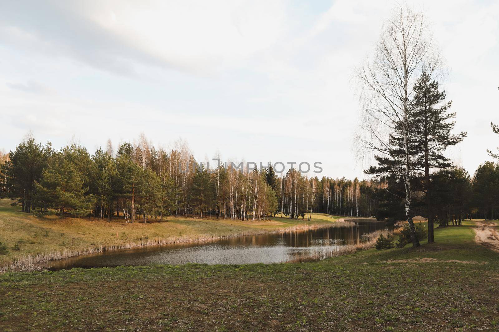 spring landscape, forest lake in spring surrounded by trees, calm water surface with reflection, bright sunlight and blue sky.