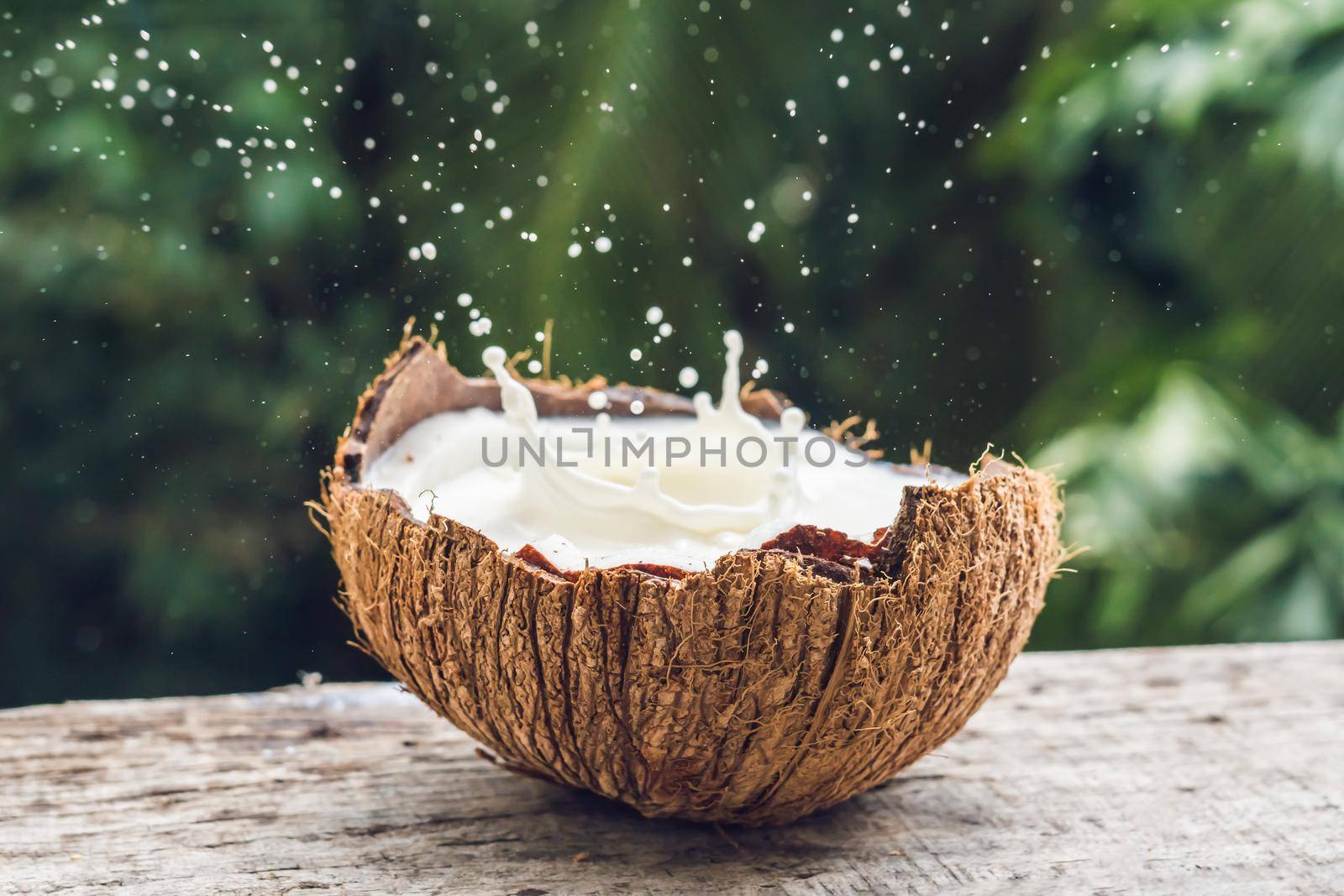 Coconut fruit and milk splash inside it on a background of a palm tree.