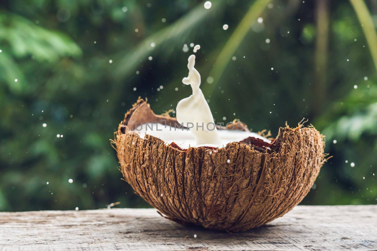 Coconut fruit and milk splash inside it on a background of a palm tree.