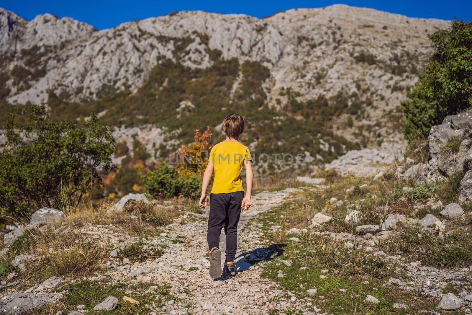 A boy walks in autumn Montenegro. Beautiful autumn view on the yellow trees, Montenegro.