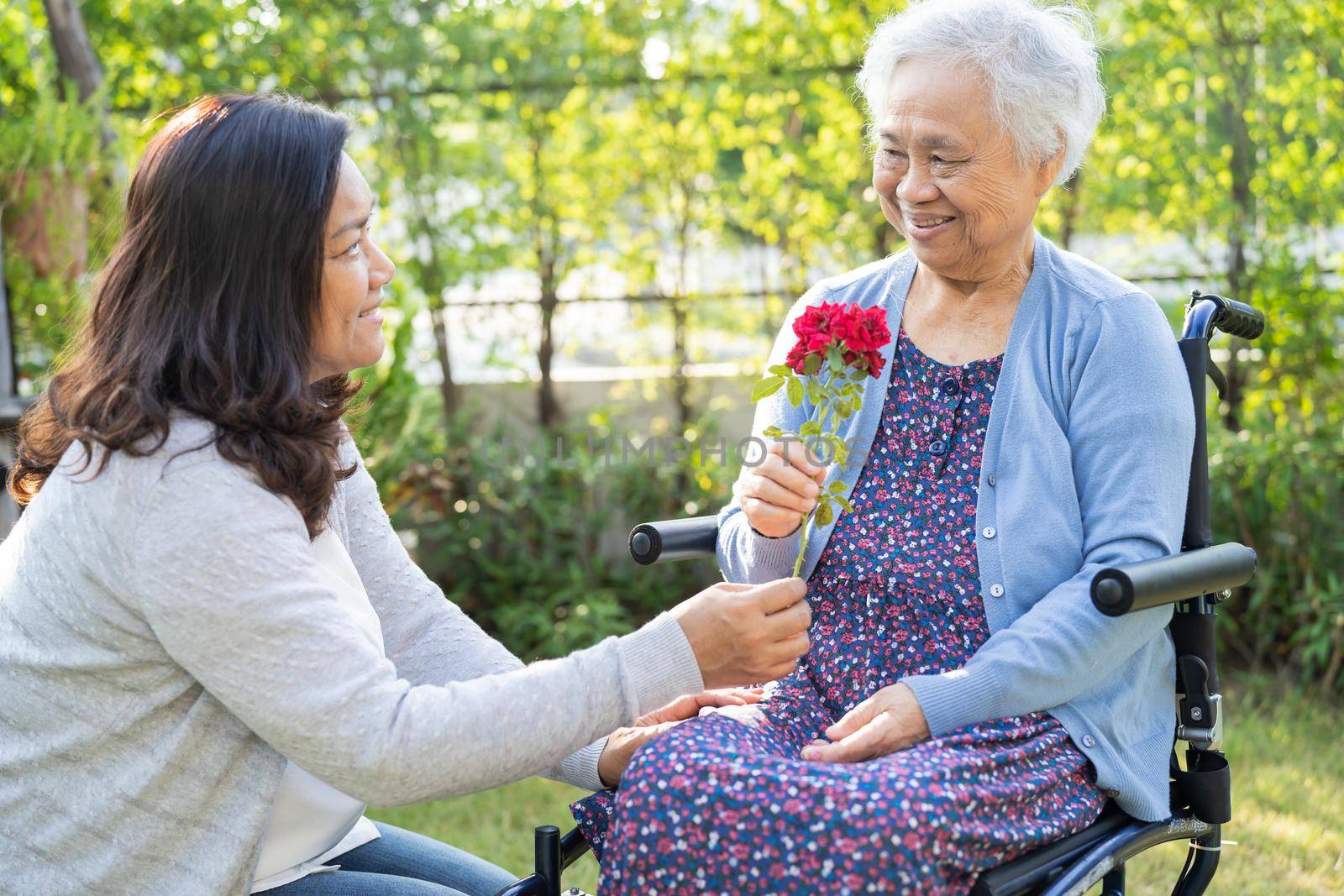 Caregiver daughter hug and help Asian senior or elderly old lady woman holding red rose on wheelchair in park.