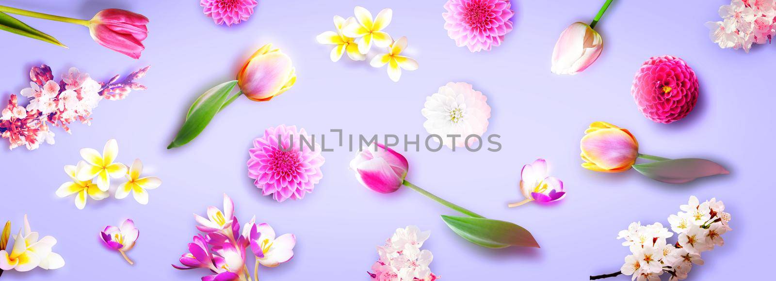Background of spring flowers for card for the holiday.