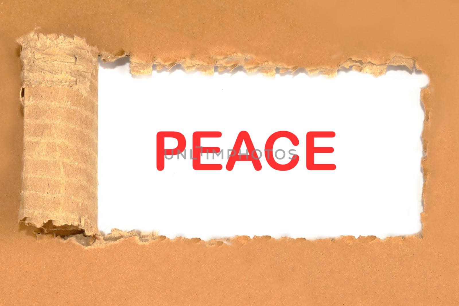 PEACE lettering on white paper through torn cardboard. The concept of peace on the planet.