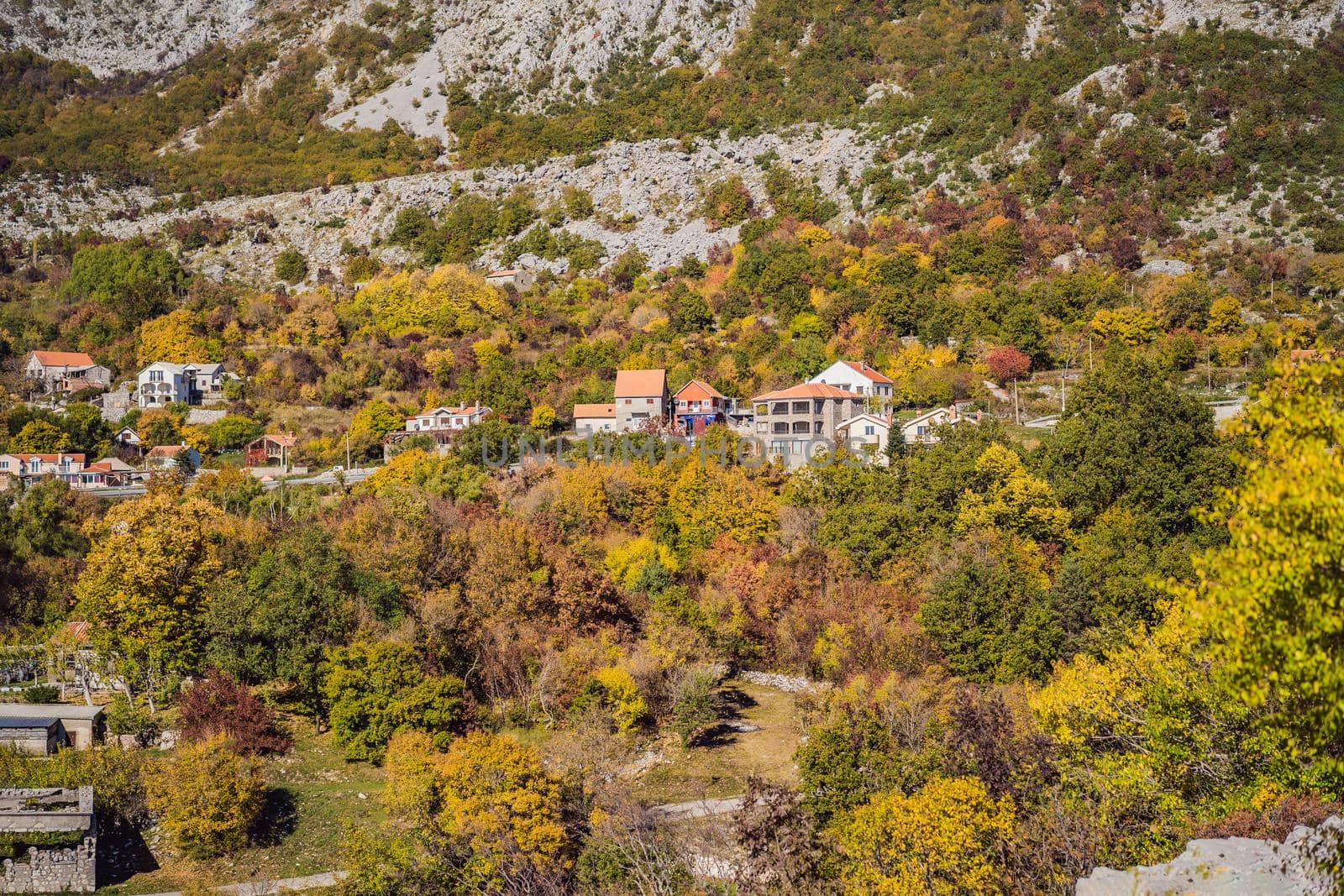 Beautiful autumn view on the yellow trees, Montenegro.