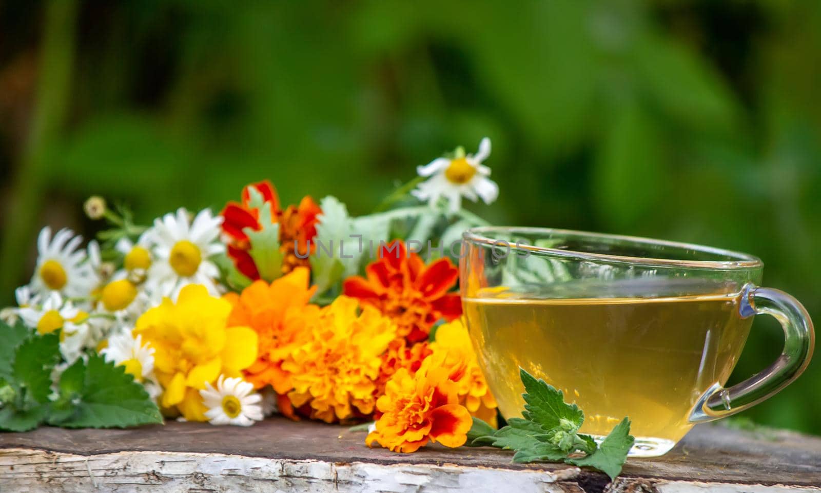 Chamomile tea on a wooden background. Nature. Selective focus