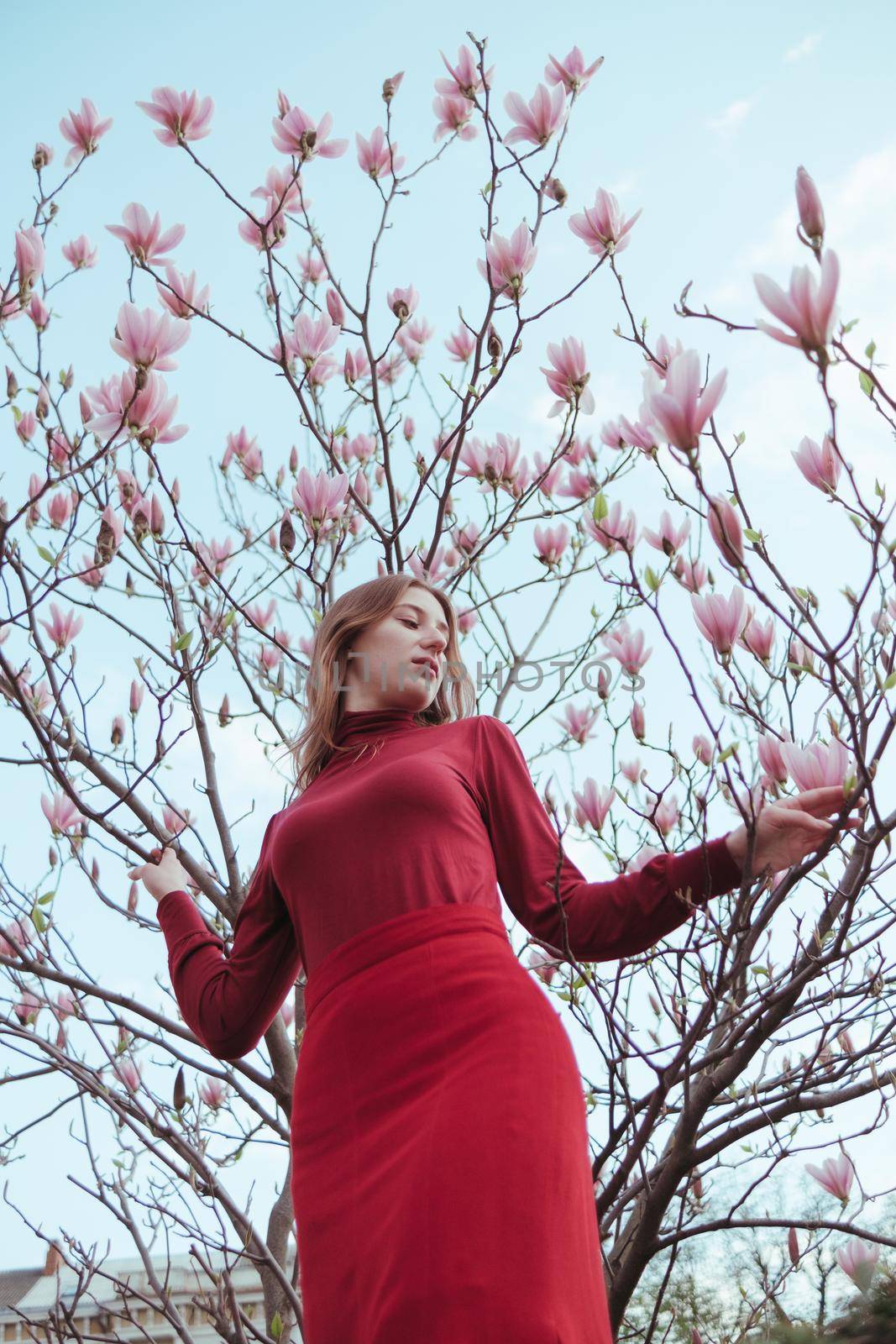 a veth-haired girl in red against the background of a magnolia tree. the concept of unity with nature by Symonenko