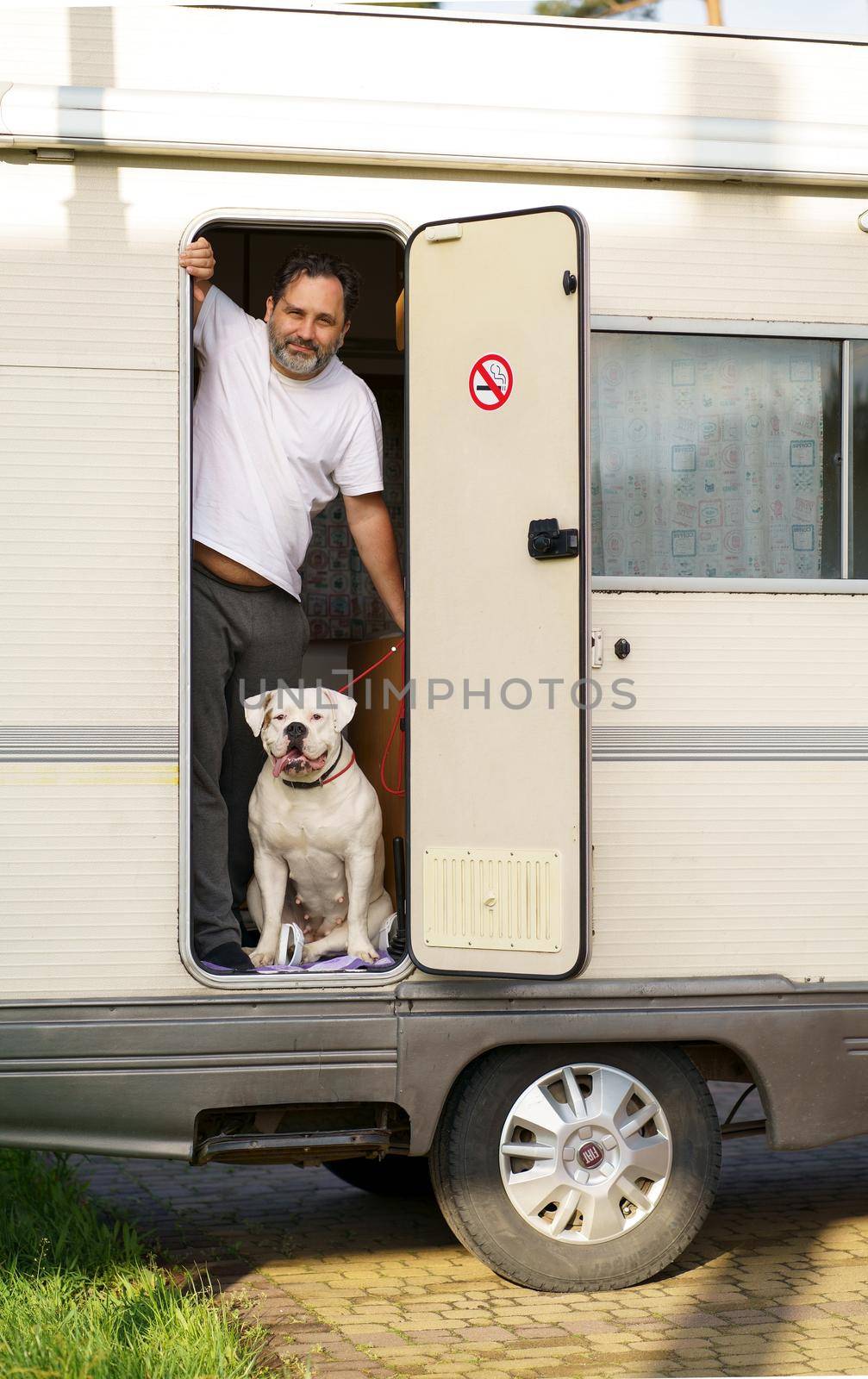 Freedom of movement in a motorhome. Family holiday. travel concept with pet. A man with a cute American Bulldog breed dog looks out of an open door in a motorhome. by aprilphoto