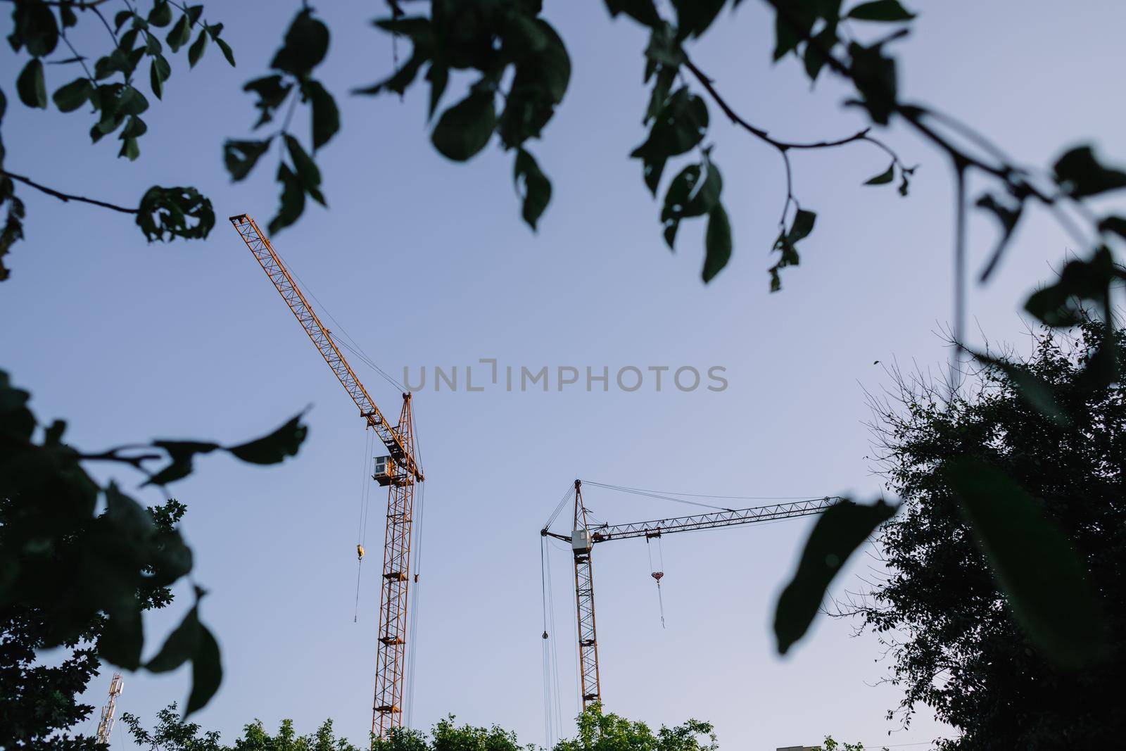 Orange crane in the harbour of Gothenburg, with greenery framing the crane which is out of focus