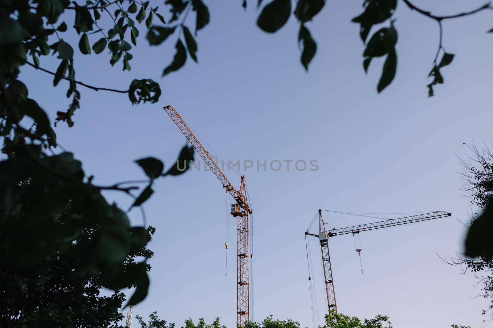 Orange crane in the harbour of Gothenburg, with greenery framing the crane which is out of focus