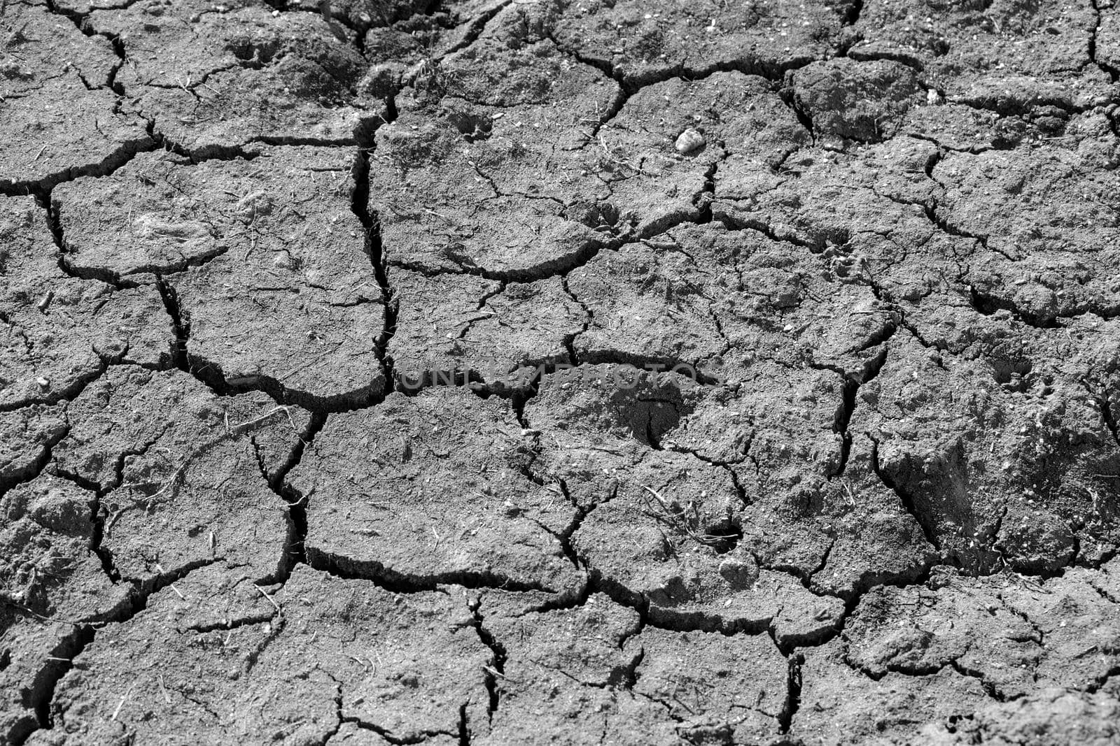 Texture of a cracked surface of a soil