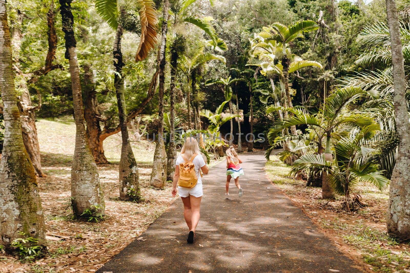Tourists walk along the avenue with large palm trees in the Pamplemousse Botanical Garden on the island of Mauritius.