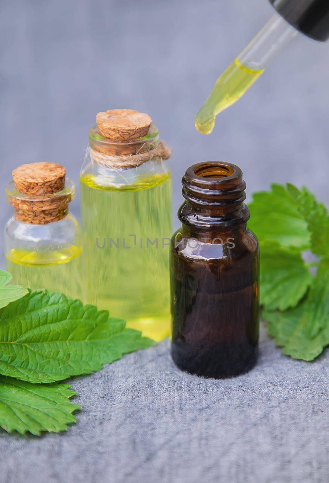 nettle extract in a small jar. Selective focus.nature