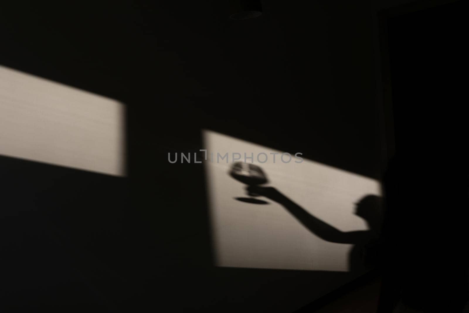 Shadow on the wall of a female sommelier with a glass of wine. Chiaroscuro from the window. Copy space.