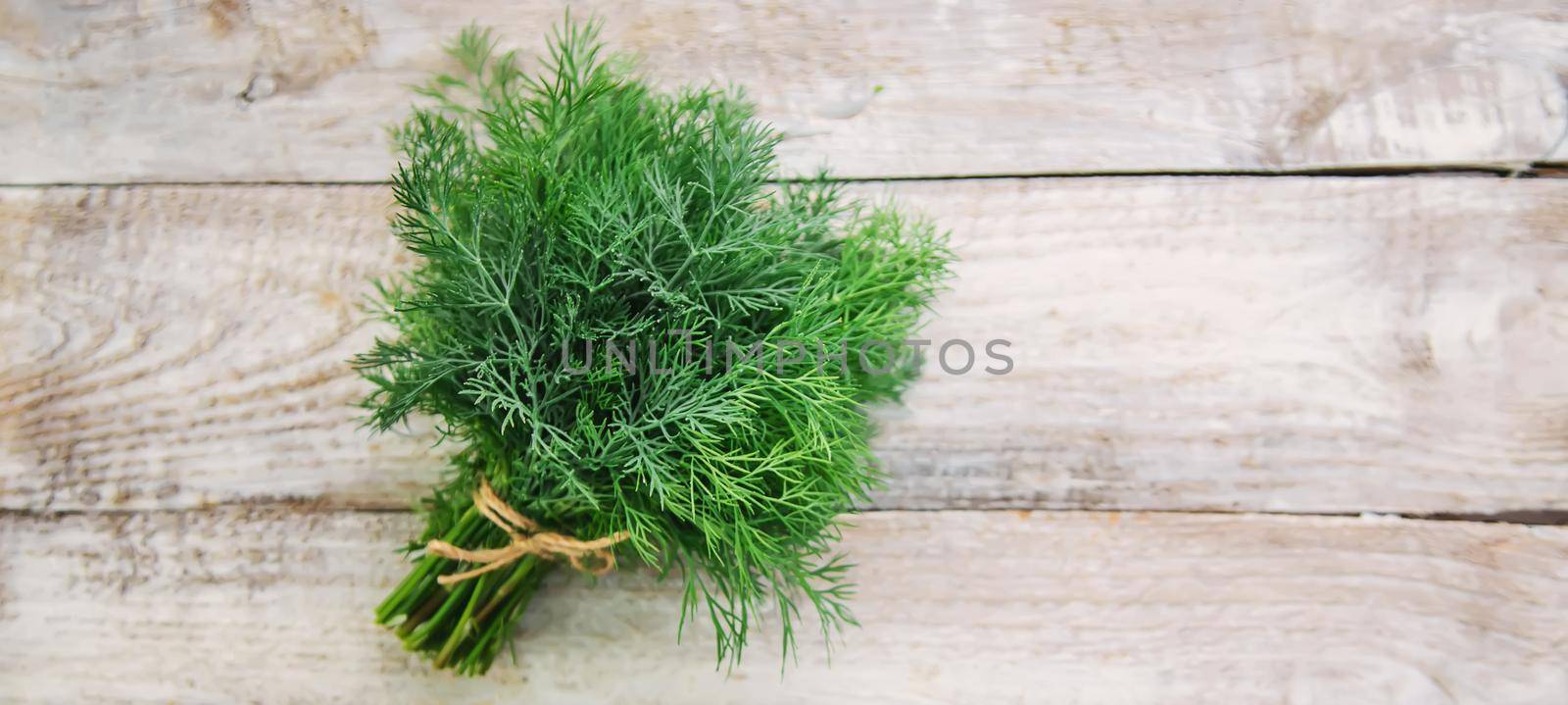fresh home herbs from the garden. Dill. Selective focus. nature.