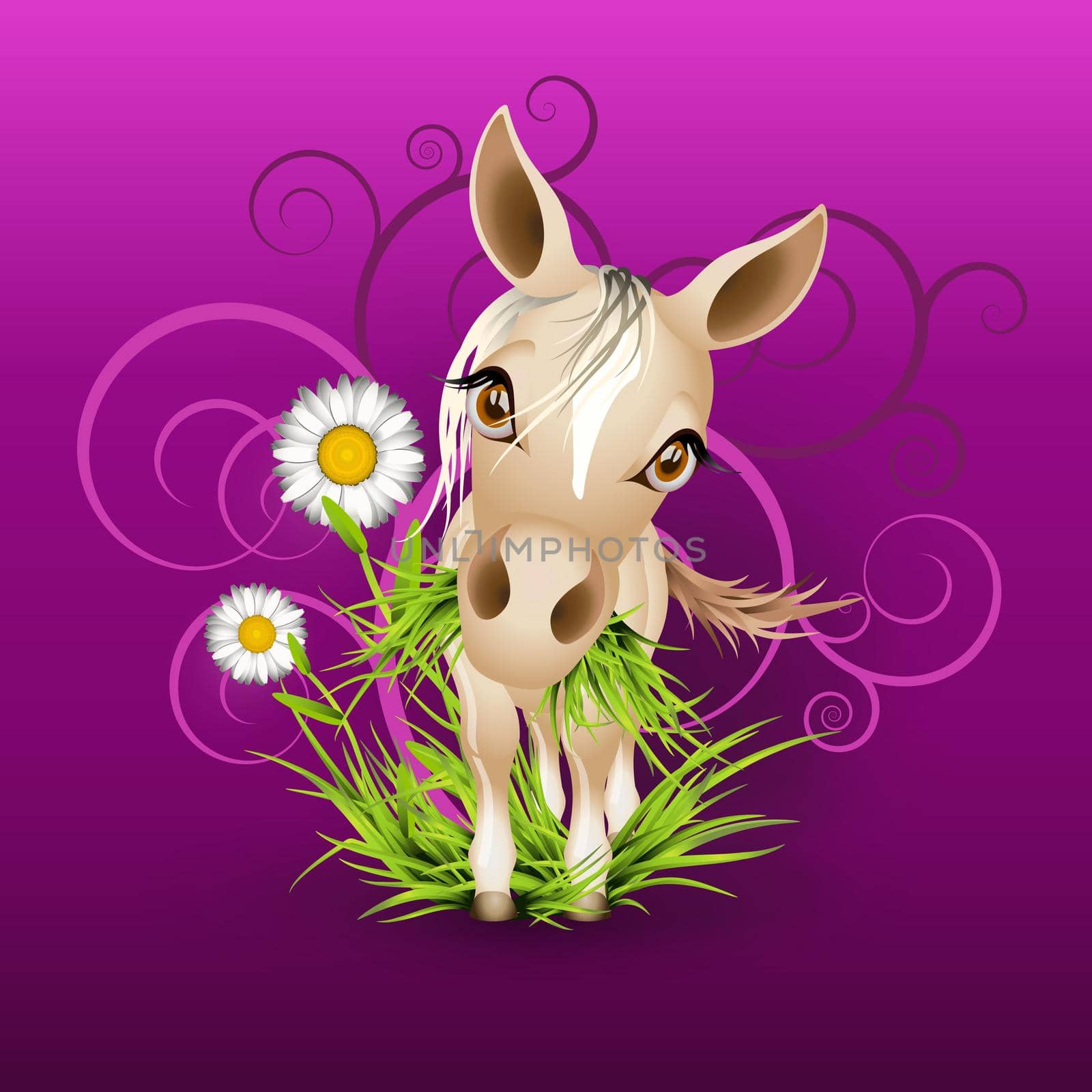 Little mare in green grass over purple