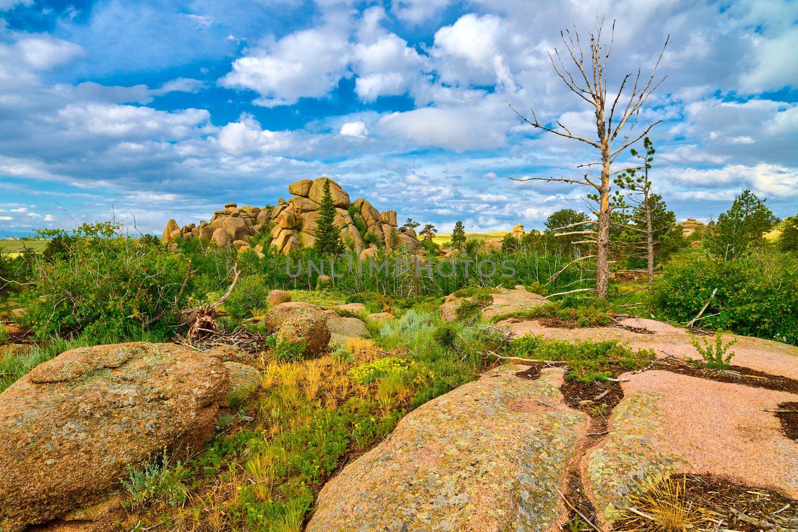 Rock formations at Vedauwoo Recreation Area, WY.