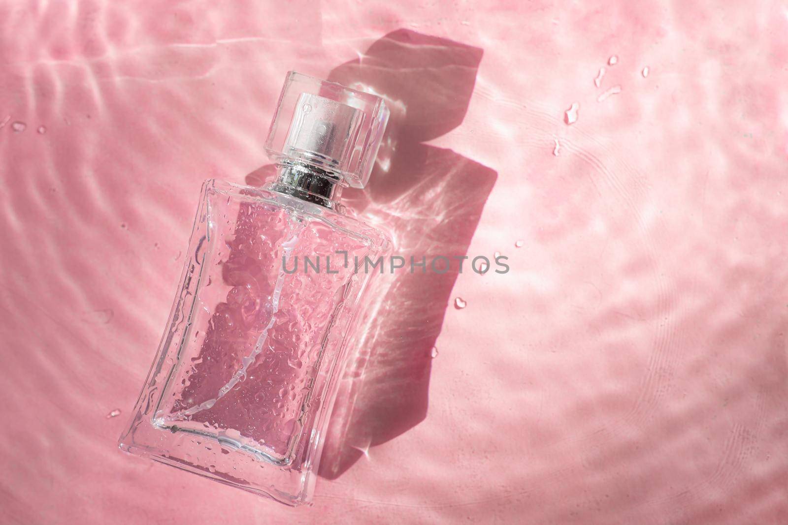 Perfume bottle on the background and water drops. A bottle of perfume without inscriptions . Smell. Perfume on a pink background. Water drops. Copy space. Article about the choice of perfume
