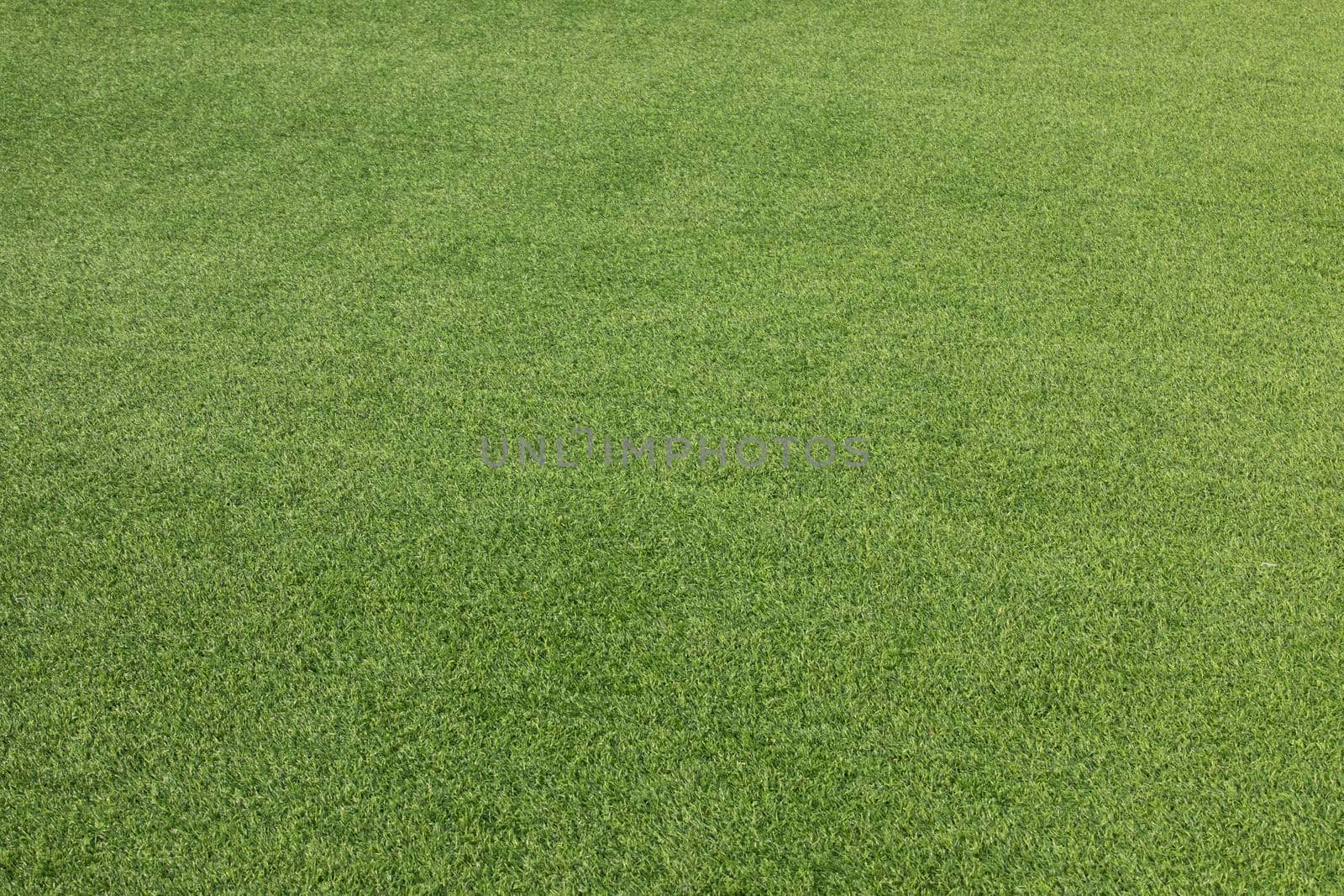 Green grass texture background. Green artificial grass. by drpnncpp