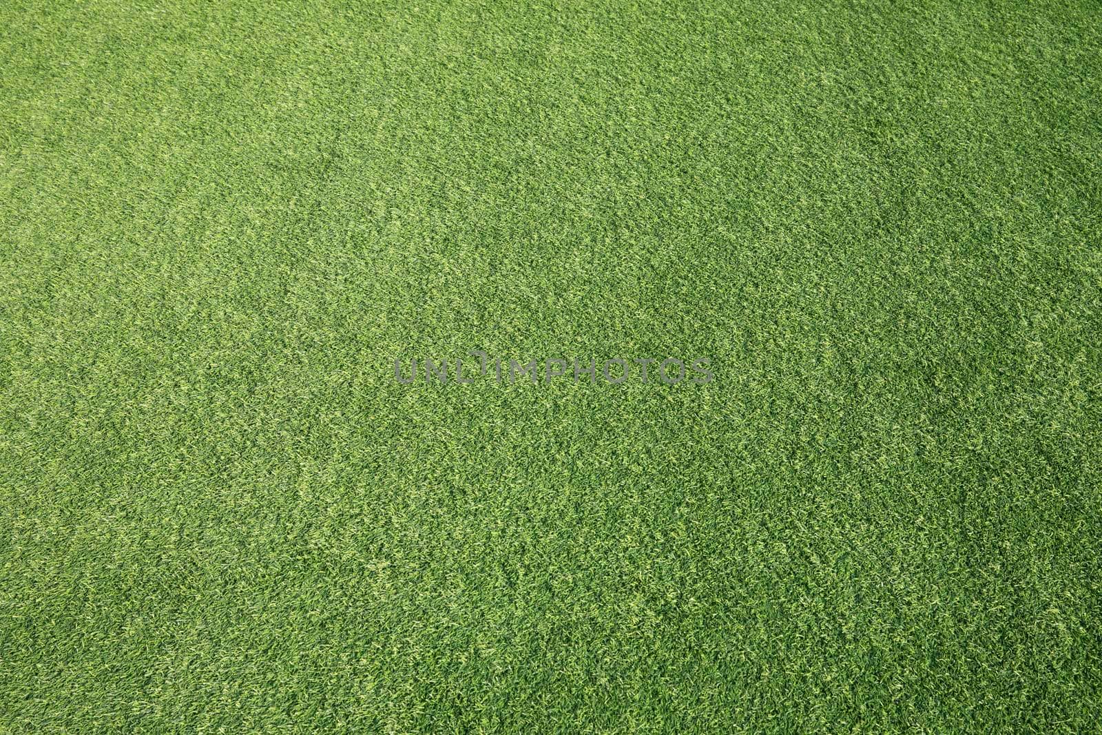 Green grass texture background. Green artificial grass. by drpnncpp