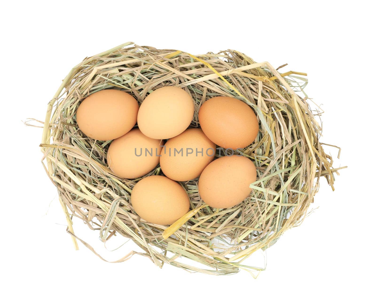 Chicken eggs in the straw nest isolated on white background by drpnncpp